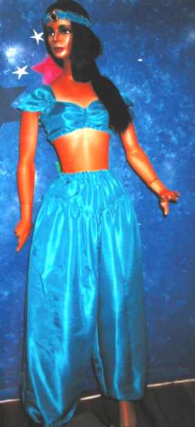 princess jasmine costume for women. Bay Costume Hire